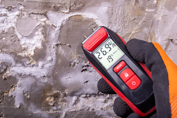 Best Affordable Mold Removal  in Clifton Forge, VA