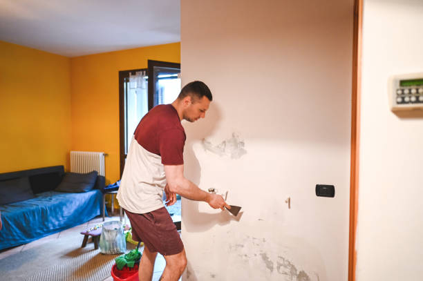 Best Commercial Mold Removal  in Clifton Forge, VA