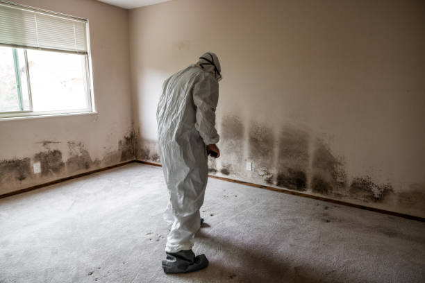 Best Crawl Space Mold Removal  in Clifton Forge, VA
